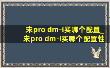 宋pro dm-i买哪个配置_宋pro dm-i买哪个配置性价比高